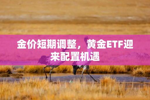 金价短期调整，黄金ETF迎来配置机遇