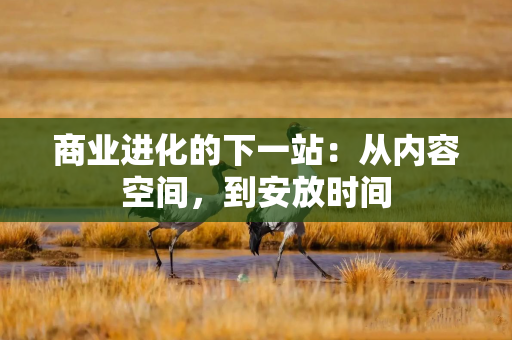 商业进化的下一站：从内容空间，到安放时间