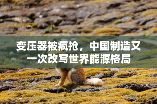 变压器被疯抢，中国制造又一次改写世界能源格局