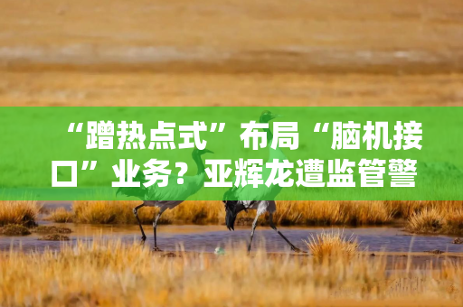 “蹭热点式”布局“脑机接口”业务？亚辉龙遭监管警示