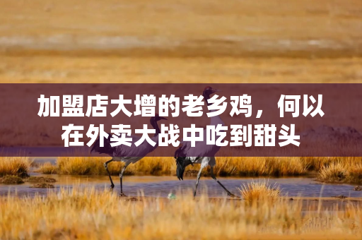 加盟店大增的老乡鸡，何以在外卖大战中吃到甜头