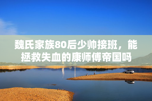 魏氏家族80后少帅接班，能拯救失血的康师傅帝国吗