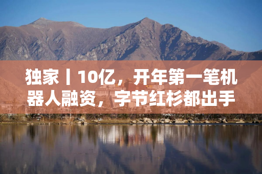 独家丨10亿，开年第一笔机器人融资，字节红杉都出手了