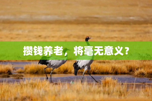 攒钱养老，将毫无意义？