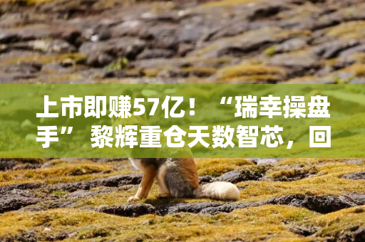 上市即赚57亿!“瑞幸操盘手” 黎辉重仓天数智芯,回报率超340% 上市即赚57亿!“瑞幸操盘手” 黎辉重仓天数智芯,回报率超340%