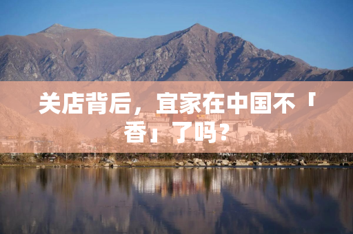 关店背后,宜家在中国不「香」了吗? 关店背后,宜家在中国不「香」了吗?
