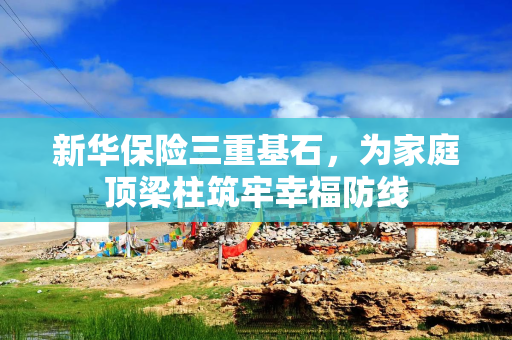 新华保险三重基石，为家庭顶梁柱筑牢幸福防线