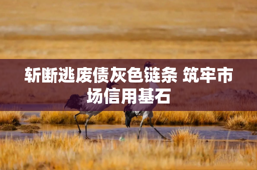 斩断逃废债灰色链条 筑牢市场信用基石