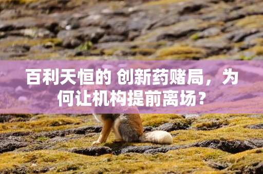 百利天恒的 创新药赌局，为何让机构提前离场？