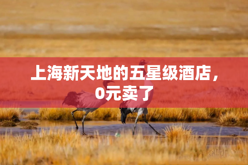 上海新天地的五星级酒店，0元卖了