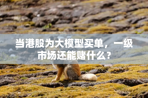 当港股为大模型买单，一级市场还能赌什么？