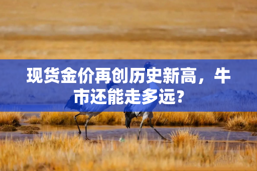 现货金价再创历史新高，牛市还能走多远？