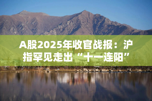 A股2025年收官战报:沪指罕见走出“十一连阳” A股2025年收官战报:沪指罕见走出“十一连阳”