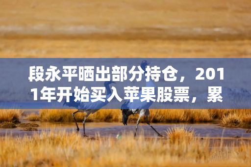 段永平晒出部分持仓,2011年开始买入苹果股票,累计收益率超16倍 段永平晒出部分持仓,2011年开始买入苹果股票,累计收益率超16倍
