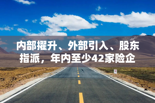 内部擢升、外部引入、股东指派，年内至少42家险企迎来新“舵手”｜年终盘点