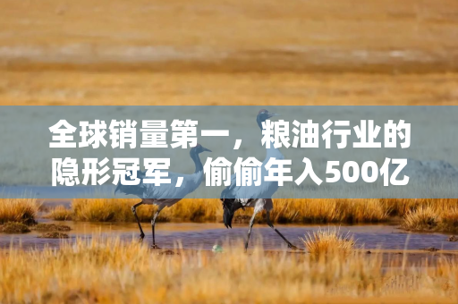 全球销量第一，粮油行业的隐形冠军，偷偷年入500亿