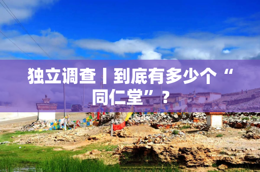 独立调查丨到底有多少个“同仁堂”？