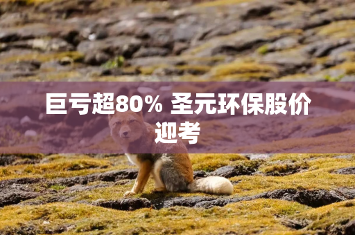 巨亏超80% 圣元环保股价迎考