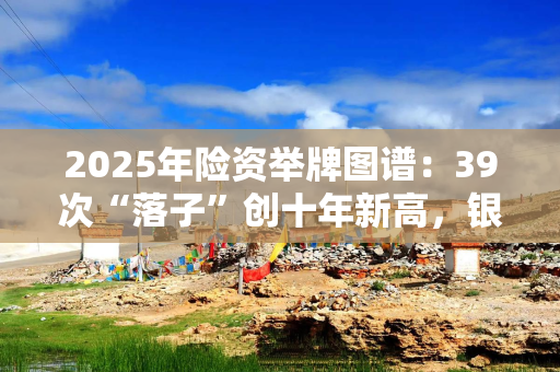 2025年险资举牌图谱：39次“落子”创十年新高，银行压仓、偏爱公用事业｜年终盘点