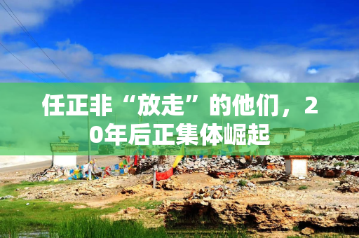 任正非“放走”的他们,20年后正集体崛起 任正非“放走”的他们,20年后正集体崛起