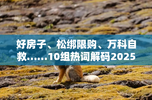 好房子、松绑限购、万科自救……10组热词解码2025楼市真相