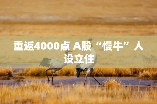 重返4000点 A股“慢牛”人设立住