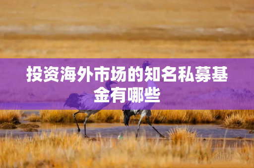 投资海外市场的知名私募基金有哪些