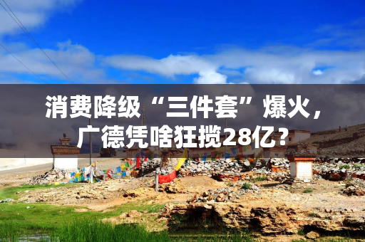 消费降级“三件套”爆火，广德凭啥狂揽28亿？