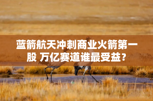 蓝箭航天冲刺商业火箭第一股 万亿赛道谁最受益？