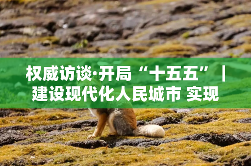 权威访谈·开局“十五五”｜建设现代化人民城市 实现住房城乡建设高质量发展——访住房城乡建设部党组书记、部长倪虹