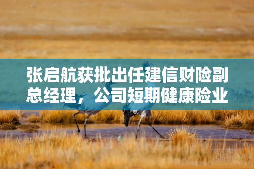 张启航获批出任建信财险副总经理，公司短期健康险业务连续承保亏损