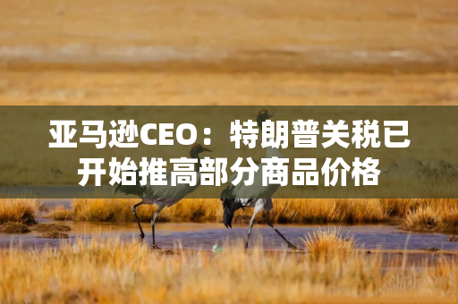 亚马逊CEO：特朗普关税已开始推高部分商品价格