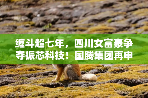 缠斗超七年，四川女富豪争夺振芯科技！国腾集团再申请召开临时股东会