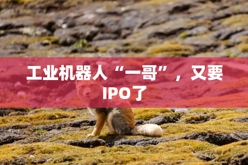 工业机器人“一哥”，又要IPO了