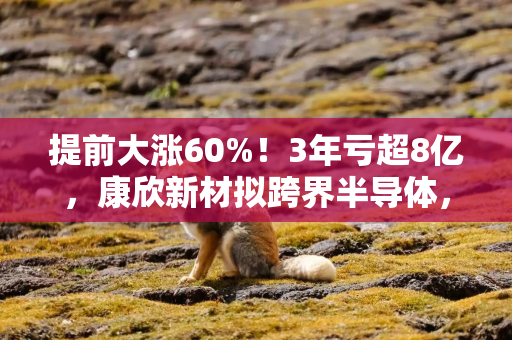 提前大涨60%！3年亏超8亿，康欣新材拟跨界半导体，上交所火速五连问