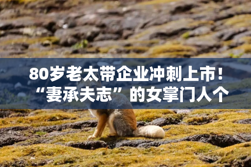 80岁老太带企业冲刺上市！“妻承夫志”的女掌门人个个都是狠角色