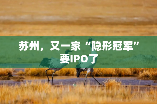 苏州，又一家“隐形冠军”要IPO了