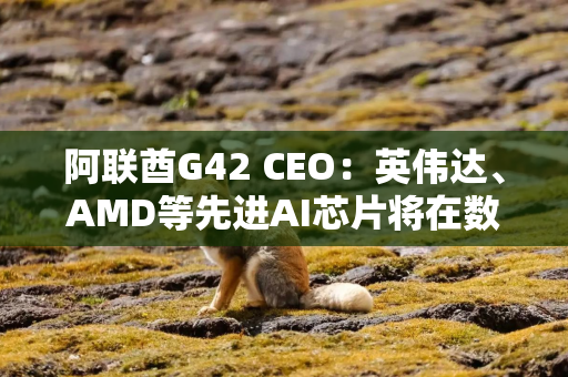 阿联酋G42 CEO：英伟达、AMD等先进AI芯片将在数月内运抵阿联酋
