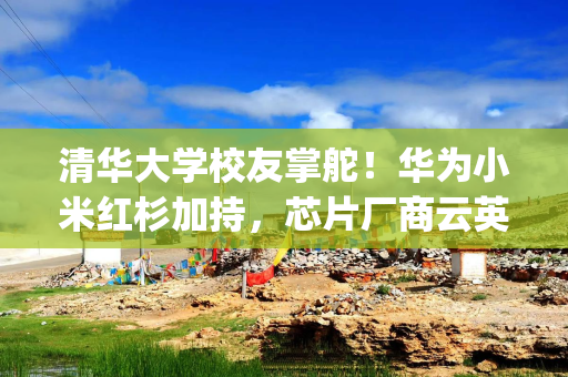 清华大学校友掌舵！华为小米红杉加持，芯片厂商云英谷再冲港股|港E声