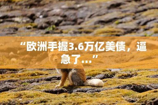 “欧洲手握3.6万亿美债，逼急了…”