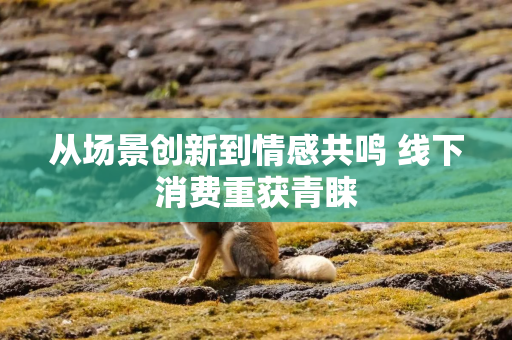 从场景创新到情感共鸣 线下消费重获青睐