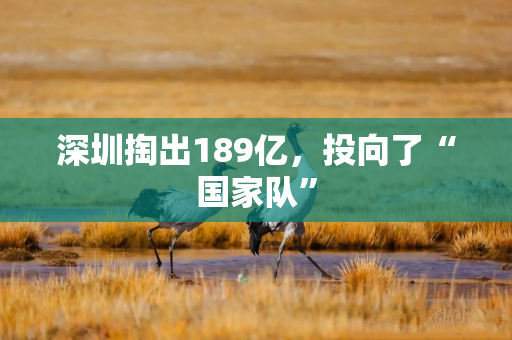 深圳掏出189亿，投向了“国家队”
