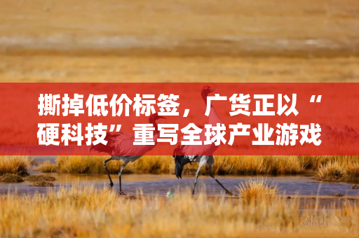 撕掉低价标签，广货正以“硬科技”重写全球产业游戏规则