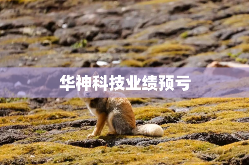 华神科技业绩预亏