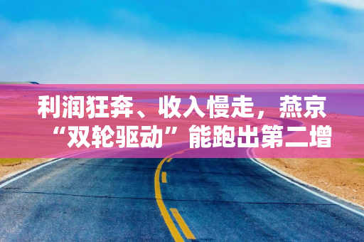 利润狂奔、收入慢走，燕京“双轮驱动”能跑出第二增长曲线吗？