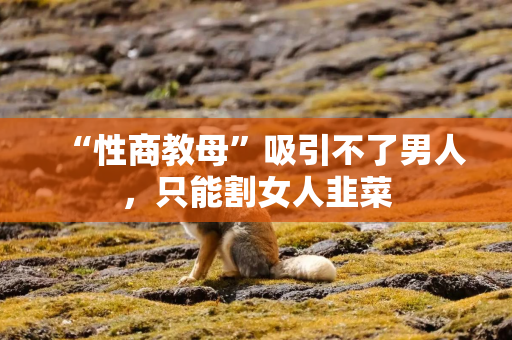 “性商教母”吸引不了男人，只能割女人韭菜