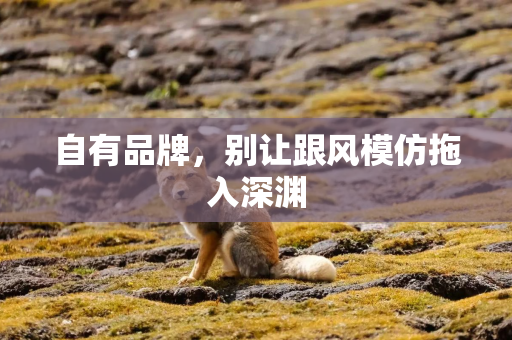 自有品牌，别让跟风模仿拖入深渊