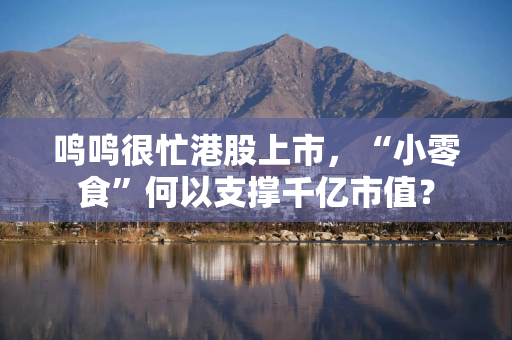 鸣鸣很忙港股上市，“小零食”何以支撑千亿市值？