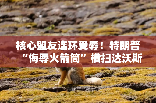 核心盟友连环受辱！特朗普“侮辱火箭筒”横扫达沃斯，西方联盟“开裂”