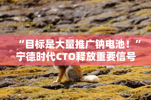 “目标是大量推广钠电池！”宁德时代CTO释放重要信号